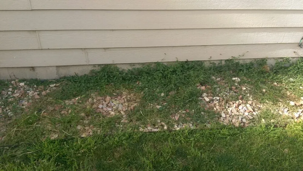 Trusted landscape installation in Eaton, CO by Delucia Lawn Care