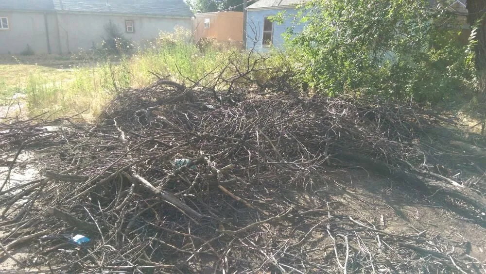 Trusted landscape installation in Eaton, CO by Delucia Lawn Care