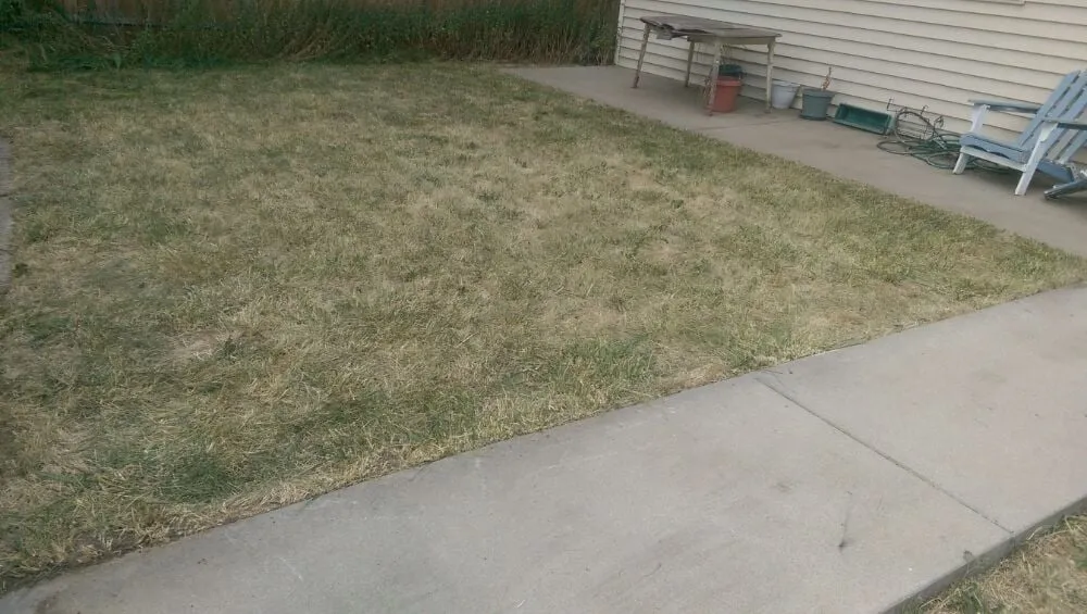 Local outdoor landscaping in Eaton, CO - Delucia Lawn Care