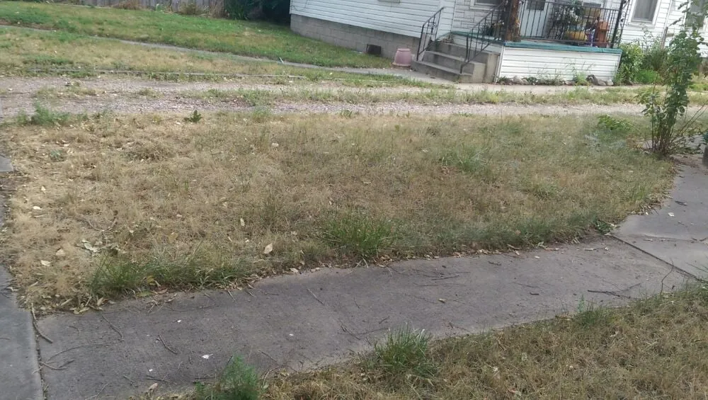 Expert yard cleanup service in Eaton, CO - Delucia Lawn Care