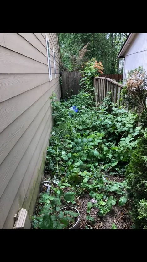 Professional yard cleanup service in Hillsboro, OR by Deluna Services