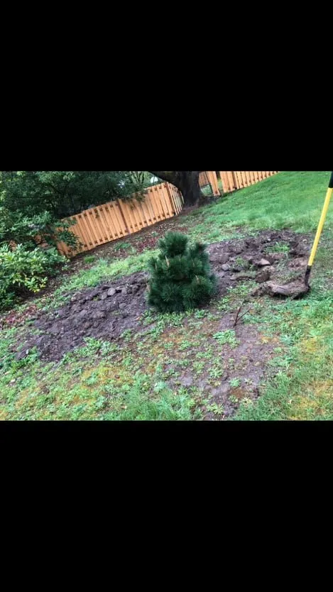 Local yard cleanup service experts serving Hillsboro, OR - Deluna Services