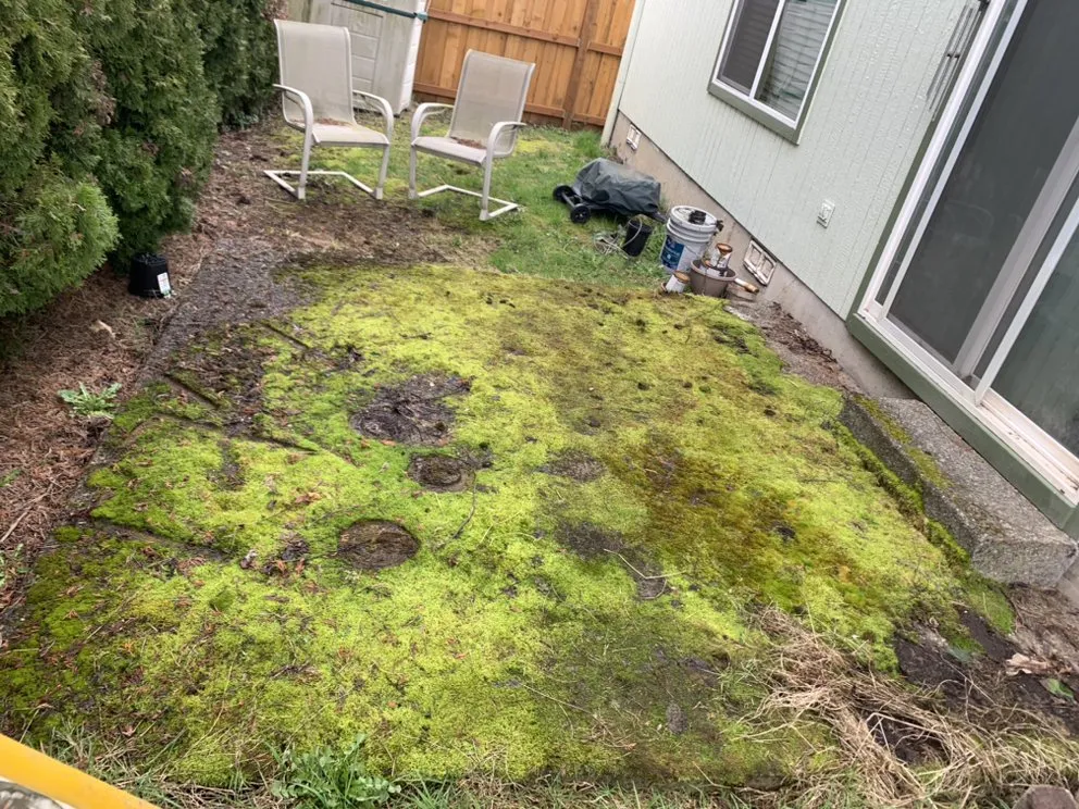 Affordable landscape installation for residential properties across Hillsboro, OR - Deluna Services