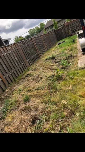 Local residential landscaping in Hillsboro, OR - Deluna Services