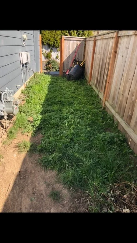 Professional yard cleanup service for beautiful yards in Hillsboro, OR by Deluna Services