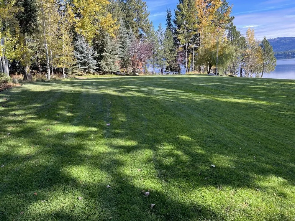 Top-rated lawn care service in McCall, ID - DeLuna Tooth & Turf Lawn Care