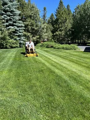 DeLuna Tooth & Turf Lawn Care