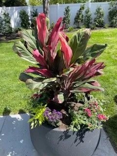 Affordable garden landscaping in Franklin Square, NY - DeLutri Landscaping