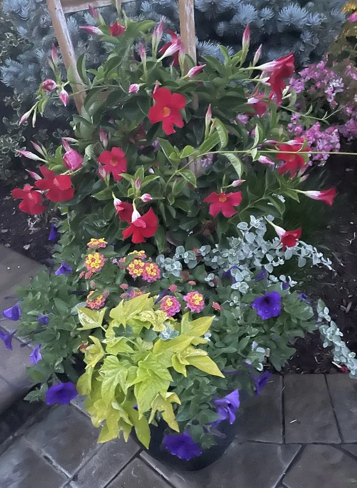 Professional landscaping services for residential properties across Franklin Square, NY - DeLutri Landscaping