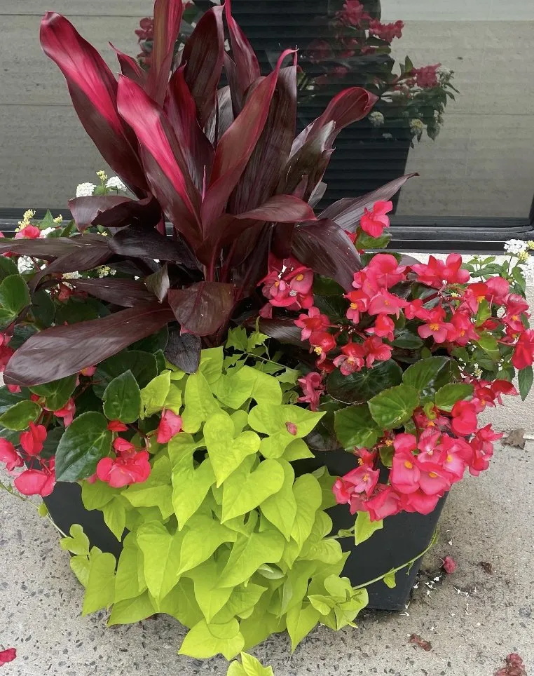 Professional lawn mowing service for residential properties in Franklin Square, NY by DeLutri Landscaping