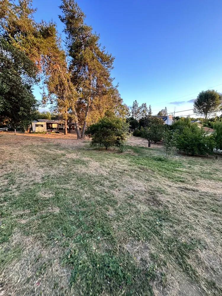 Expert yard maintenance in Murrieta, CA by Deluxe Hardscape