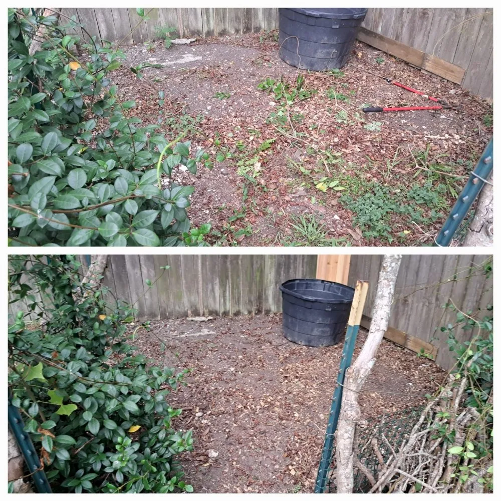 Top-rated outdoor landscaping for homes in New Orleans, LA by Deluxe Landscaping And Handyman Services