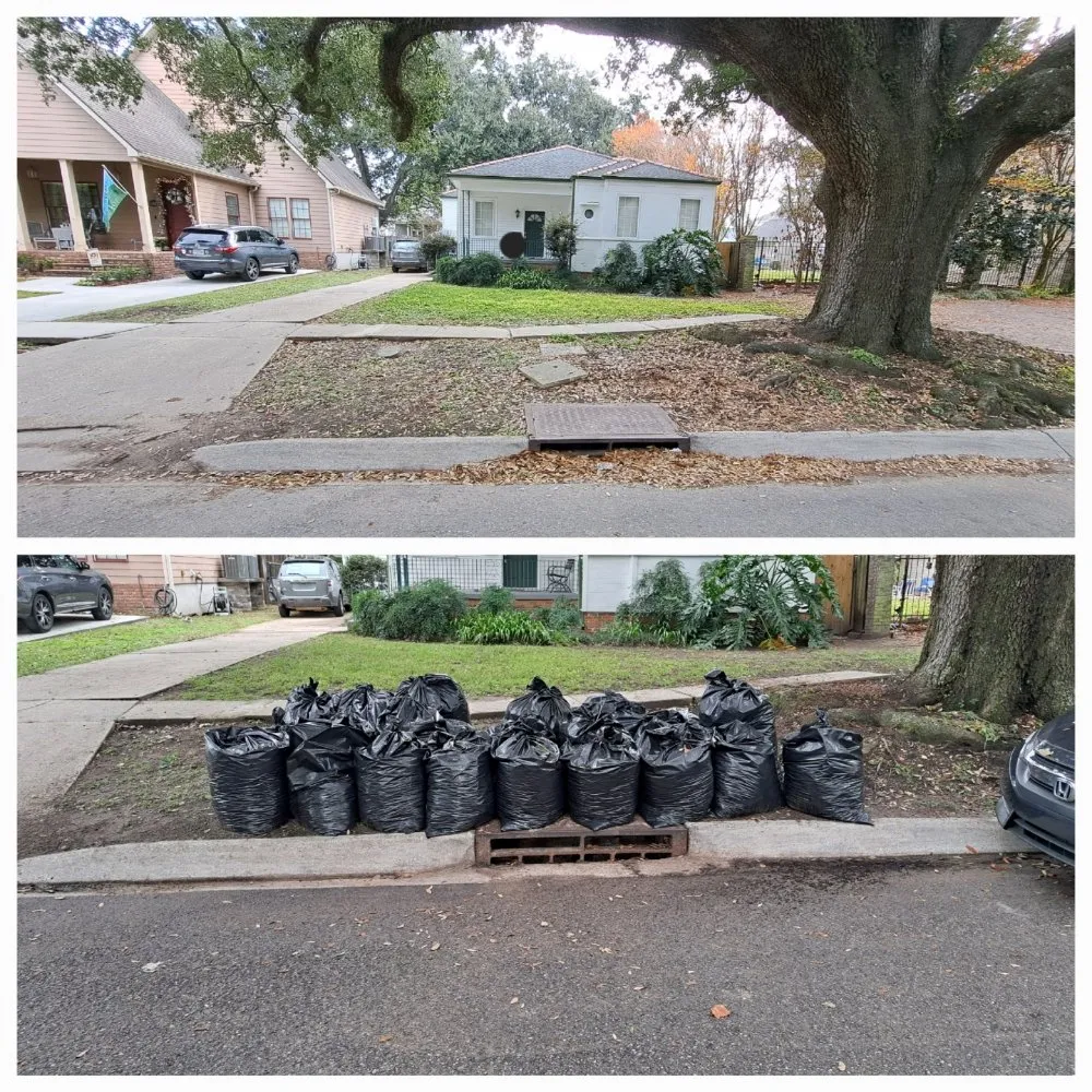 Professional landscape installation in New Orleans, LA - Deluxe Landscaping And Handyman Services