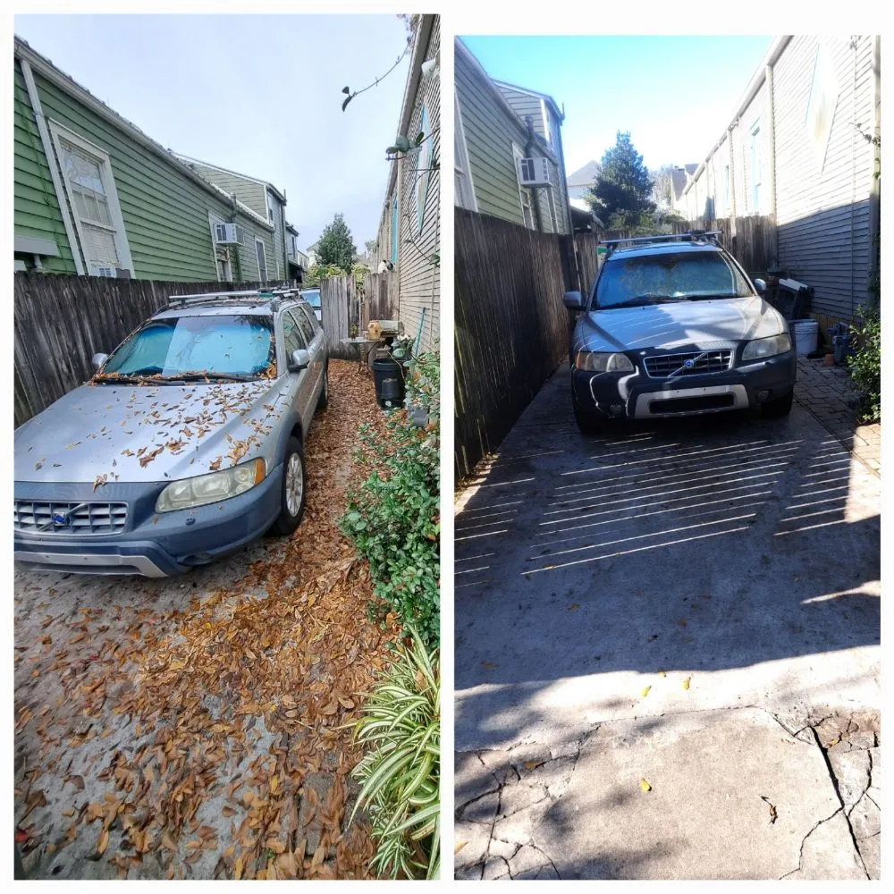 Local landscape design in New Orleans, LA by Deluxe Landscaping And Handyman Services