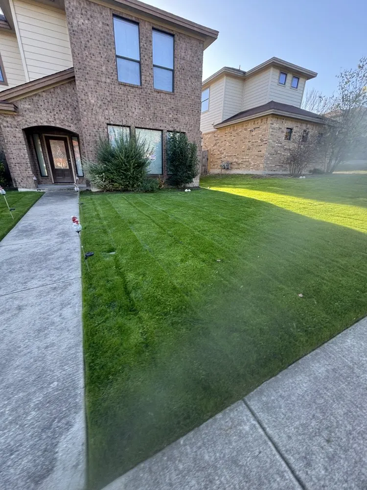 Top-rated landscaping services for homes across Buda, TX - Deluxe Lawn Care Services