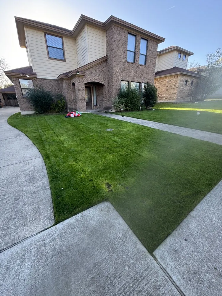 Local landscaping services experts serving Buda, TX - Deluxe Lawn Care Services