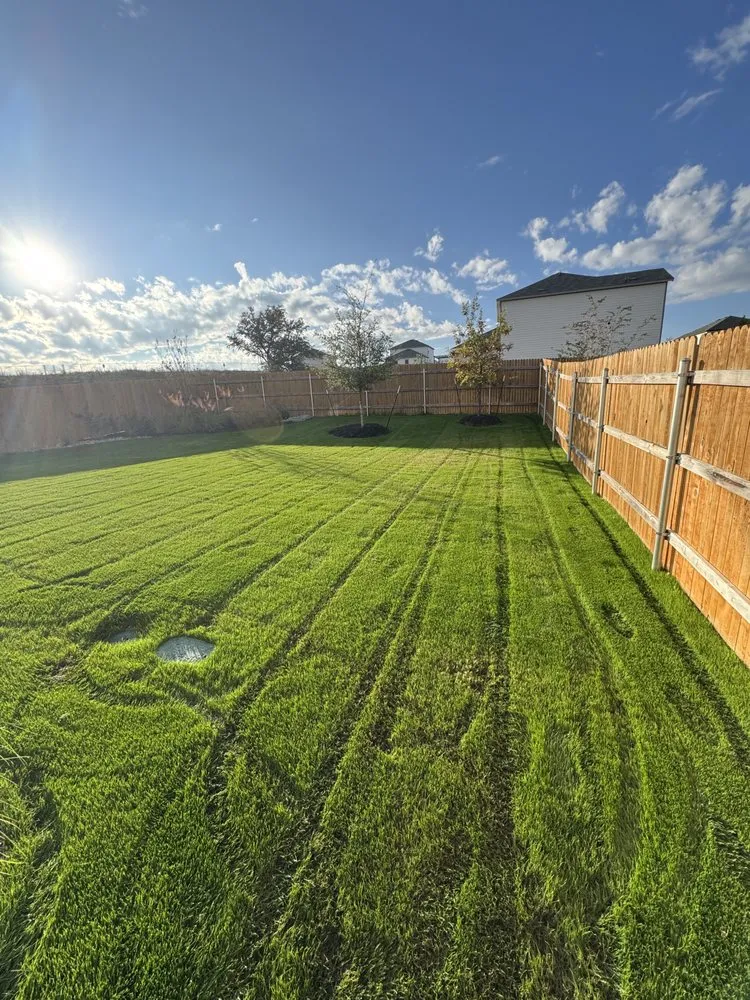 Custom landscape installation for outdoor upgrades across Buda, TX - Deluxe Lawn Care Services