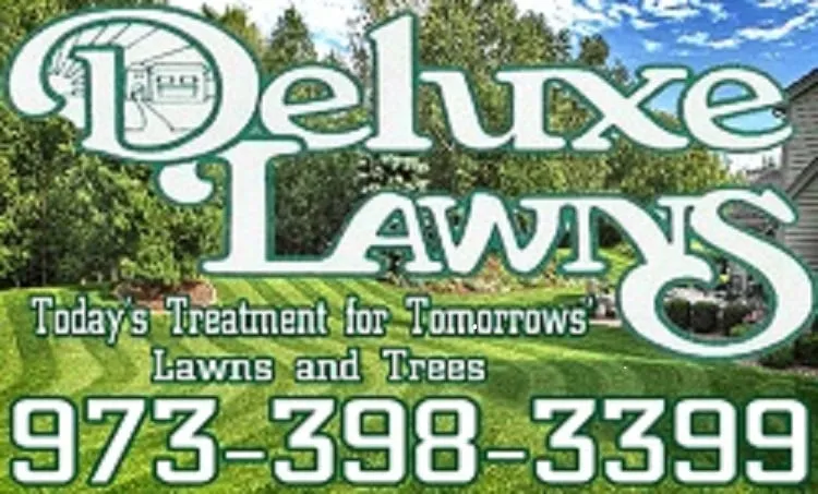Professional yard cleanup service experts serving Cedar Knolls, NJ - Deluxe Lawns