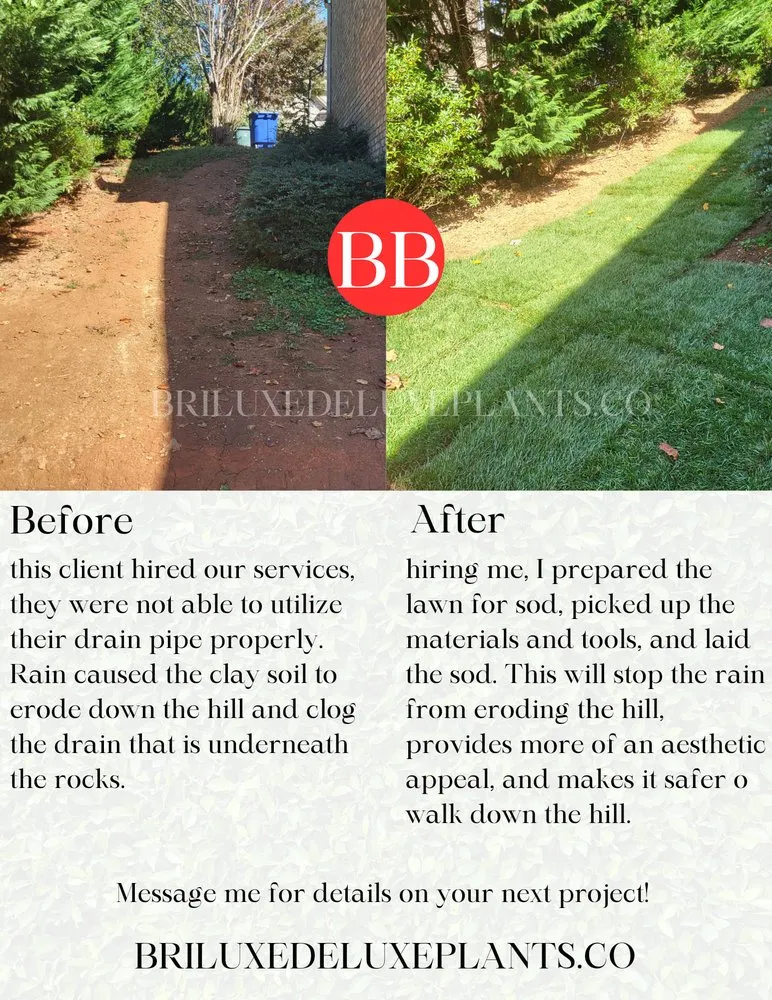 Custom lawn mowing service in Winston Salem, NC - Deluxe Plants Landscaping