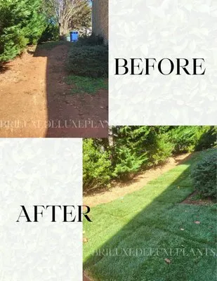 Deluxe Plants Landscaping Logo