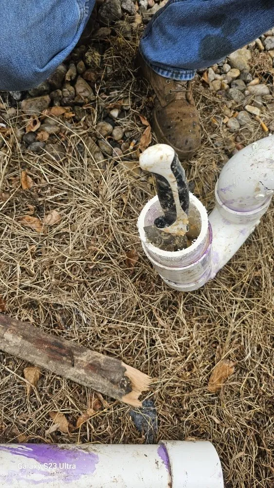 Professional landscape design in Powells Point, NC - Delvale’s Services