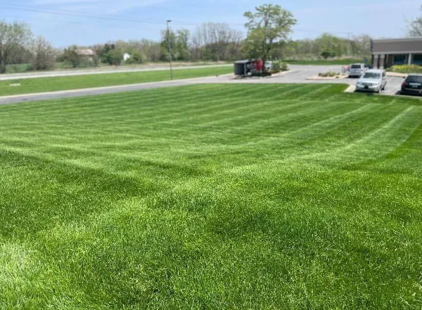 Trusted landscape design experts serving Valparaiso, IN - DEM Lawn Maintenance