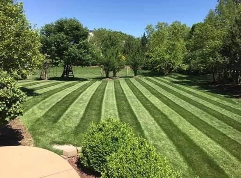 Reliable yard cleanup service experts serving Valparaiso, IN - DEM Lawn Maintenance