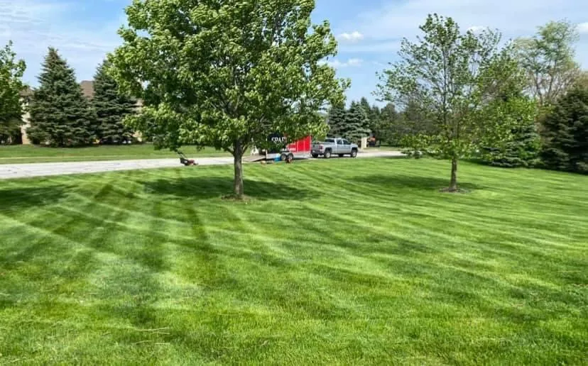 Custom yard cleanup service near you in Valparaiso, IN by DEM Lawn Maintenance