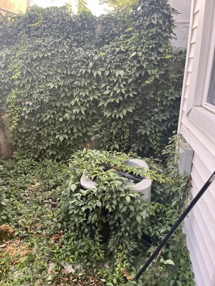 Top-rated landscape installation for outdoor upgrades in Cinnaminson, NJ by DeMaise Landscaping and Pressure Washing