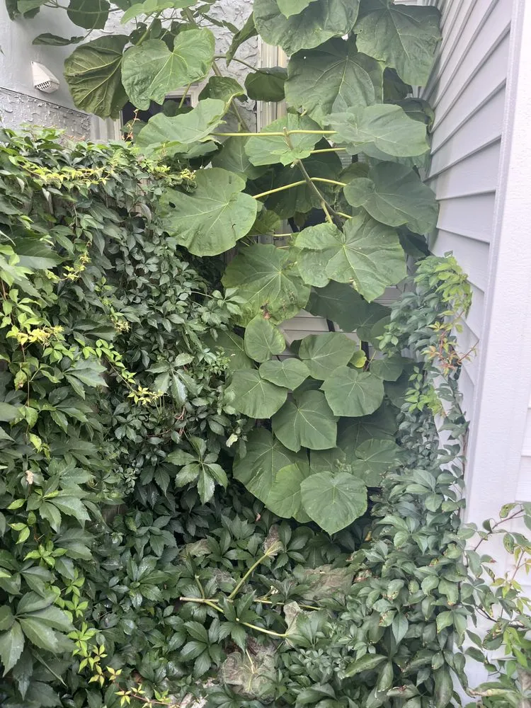 Reliable landscape design with custom design across Cinnaminson, NJ - DeMaise Landscaping and Pressure Washing