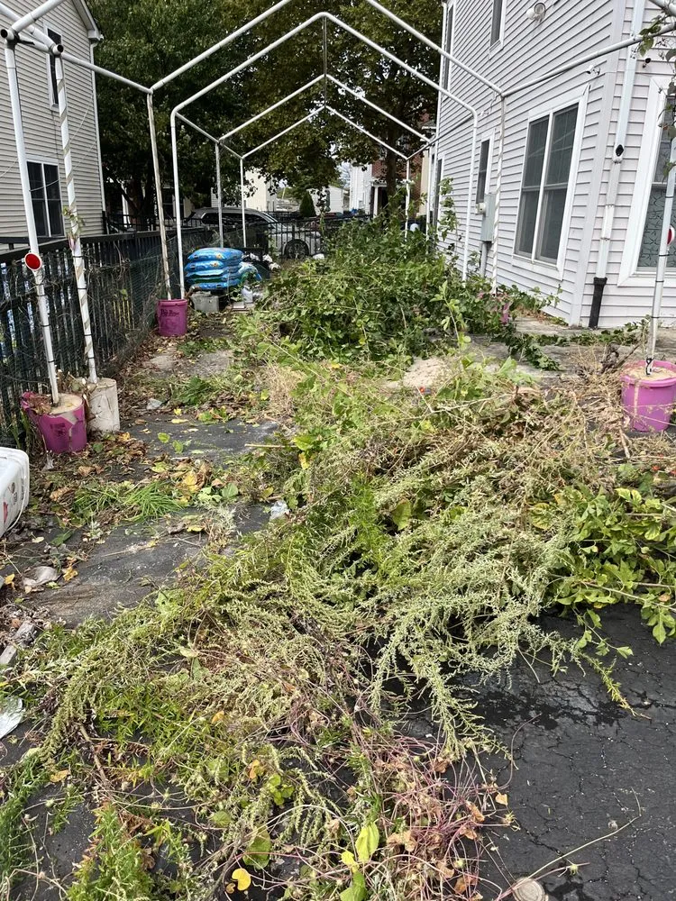 Reliable yard cleanup service for homes across Cinnaminson, NJ - DeMaise Landscaping and Pressure Washing