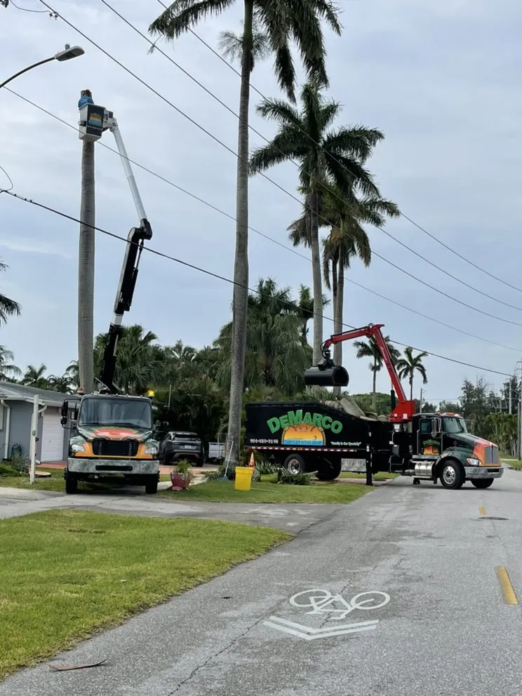 Reliable yard cleanup service for residential properties in Hollywood, FL by DeMarco Landscape Design Group