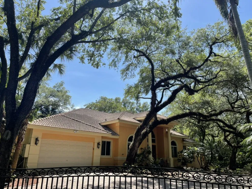 Local lawn care service for beautiful yards in Hollywood, FL by DeMarco Landscape Design Group