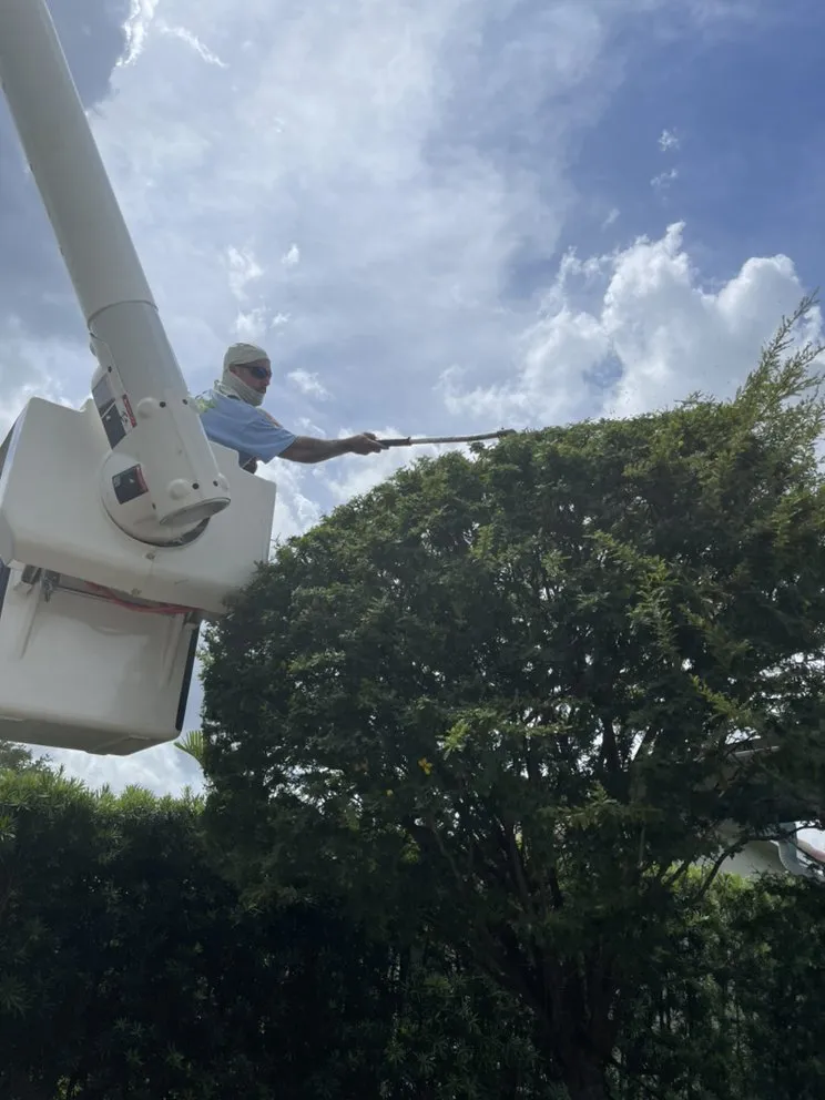 Professional yard maintenance in Hollywood, FL by DeMarco Landscape Design Group