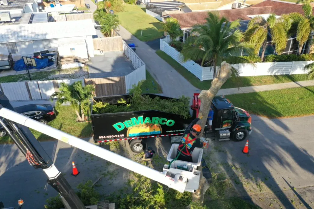 Professional residential landscaping in Hollywood, FL - DeMarco Landscape Design Group