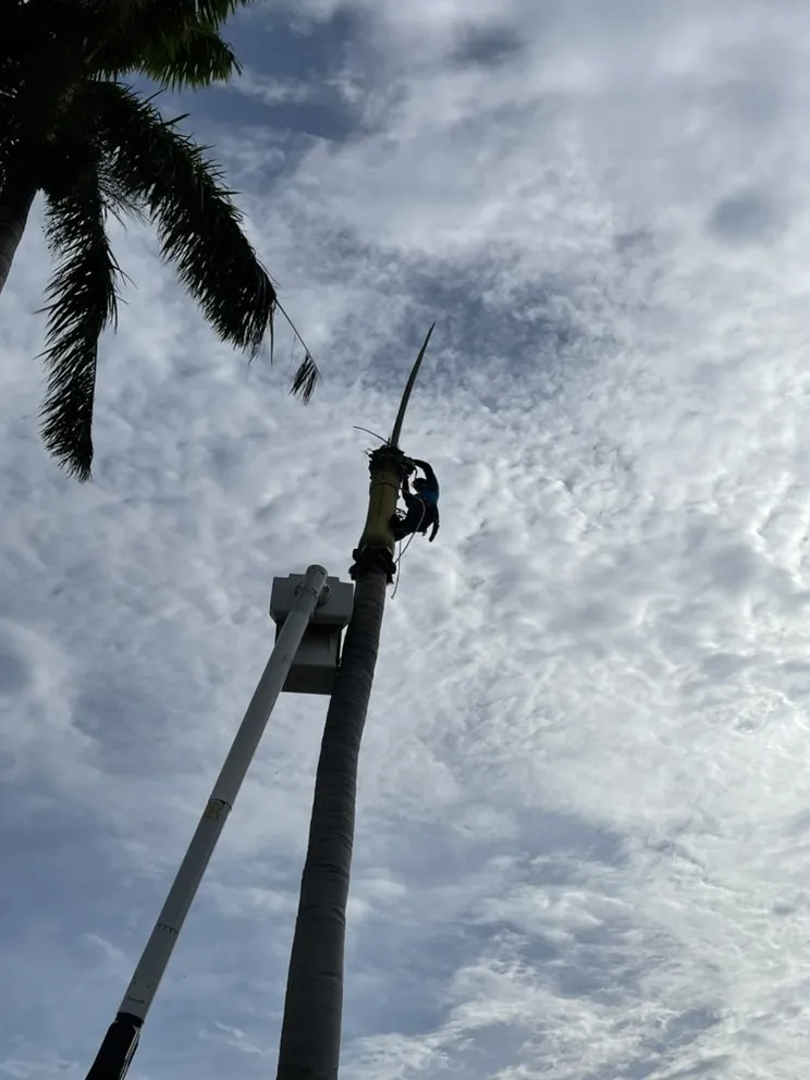 Top-rated residential landscaping near you across Hollywood, FL - DeMarco Landscape Design Group