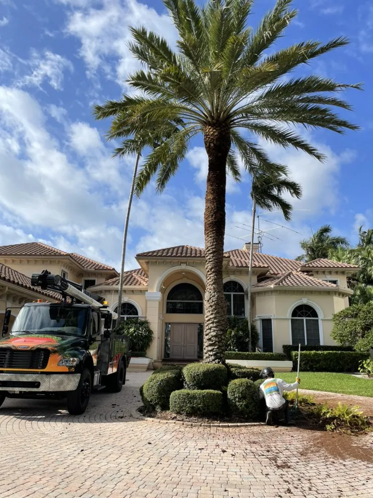 Local residential landscaping in Hollywood, FL by DeMarco Landscape Design Group