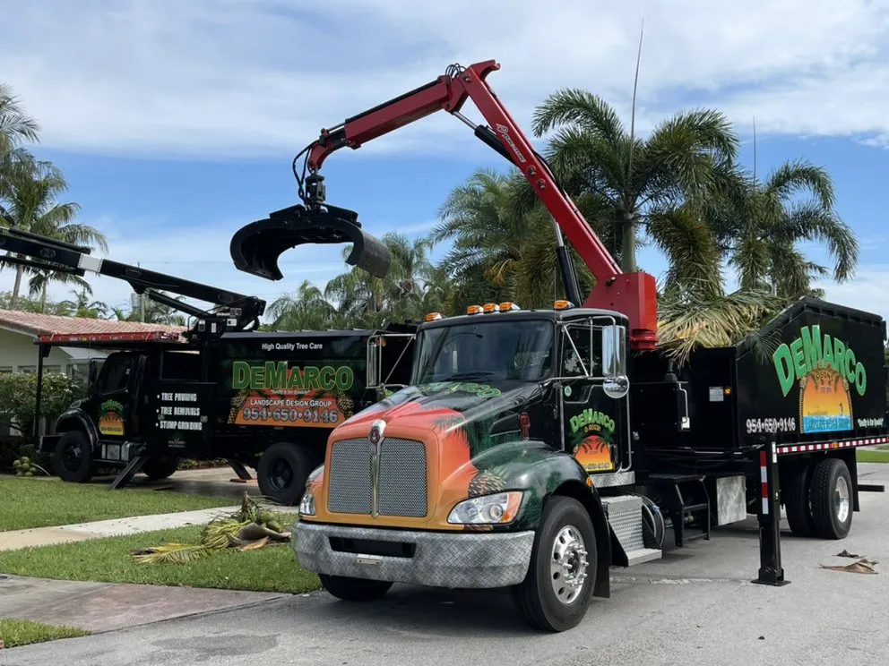 Affordable landscape design with custom design across Hollywood, FL - DeMarco Landscape Design Group