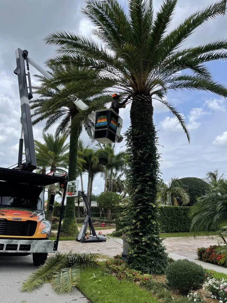 Reliable landscape design experts serving Hollywood, FL - DeMarco Landscape Design Group