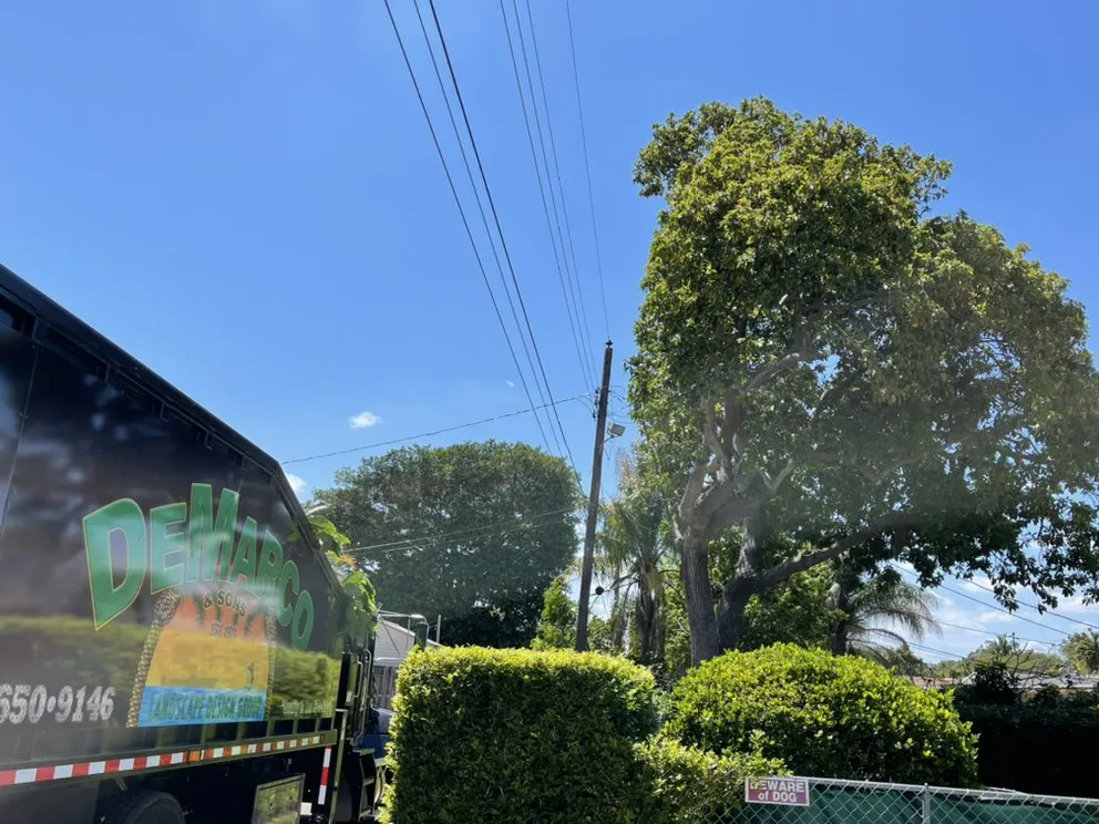 Top-rated lawn mowing service experts serving Hollywood, FL - DeMarco Landscape Design Group