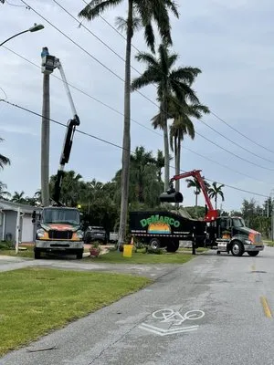 DeMarco Landscape Design Group Logo