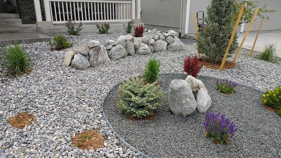 Professional lawn care service for homes across Colorado Springs, CO - DemasCO Landscapes