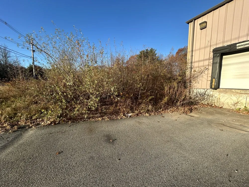 Top-rated outdoor landscaping in East Taunton, MA - DeMatos Landscaping