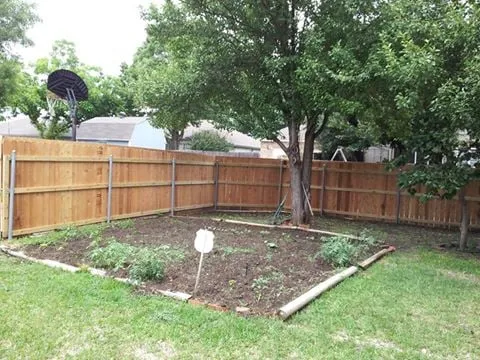Local lawn care service in Arlington, TX by Demax Lawn & Fence Service