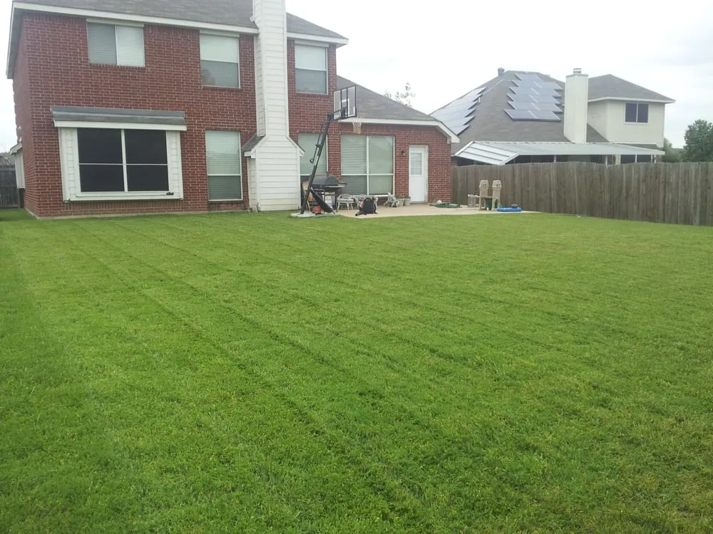 Local yard cleanup service for outdoor upgrades across Arlington, TX - Demax Lawn & Fence Service