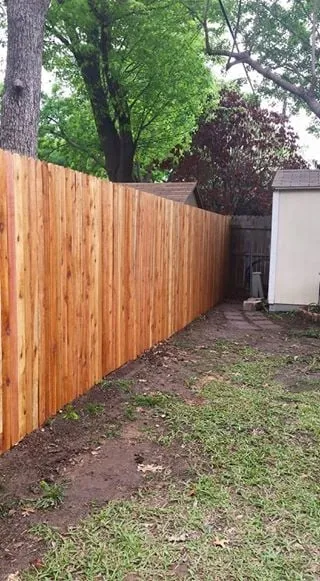Local yard cleanup service in Arlington, TX by Demax Lawn & Fence Service