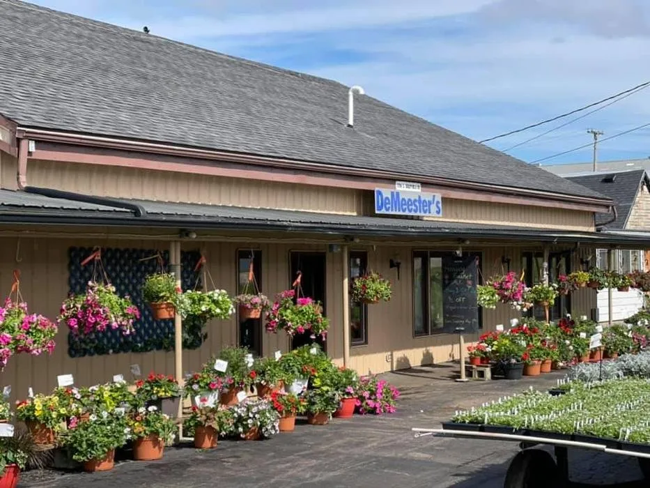 Top-rated landscaping services in Freeport, IL - DeMeester's Greenhouse & Appleland Orchard