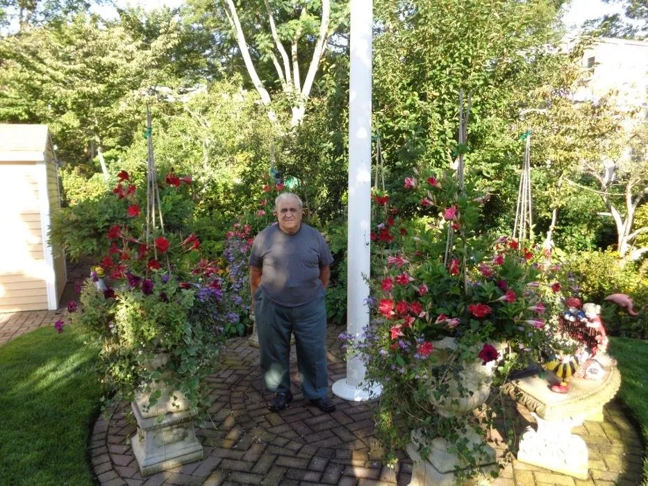 Expert lawn care service in Marstons Mills, MA by DeMelo Brothers