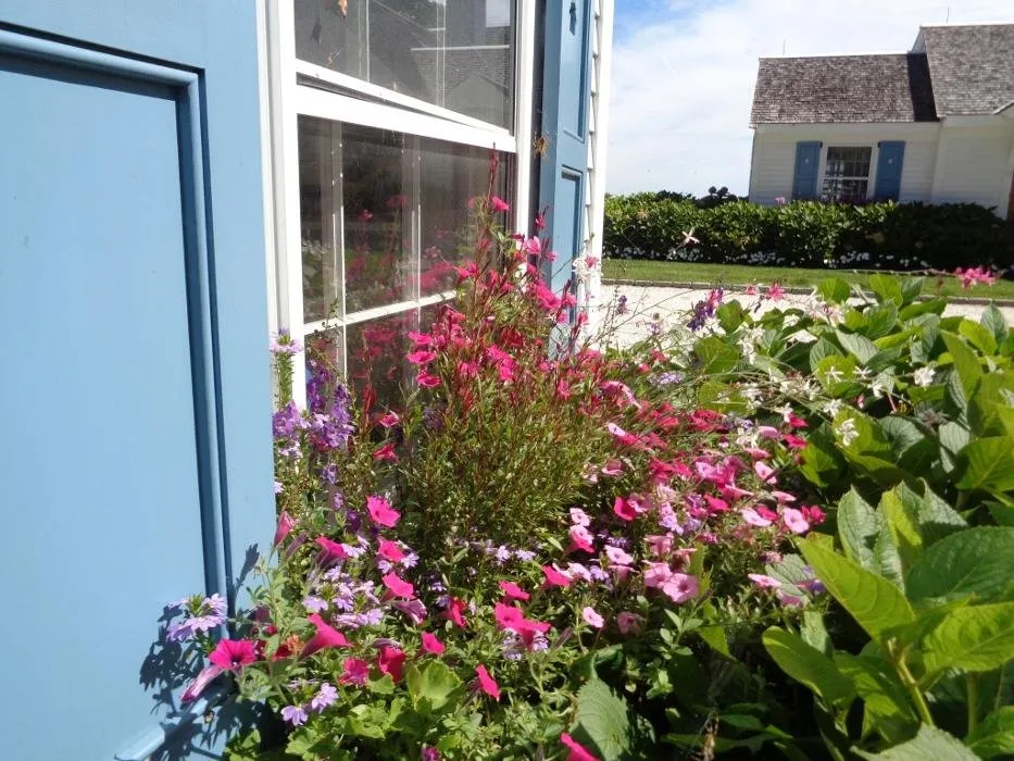 Local lawn care service experts serving Marstons Mills, MA - DeMelo Brothers