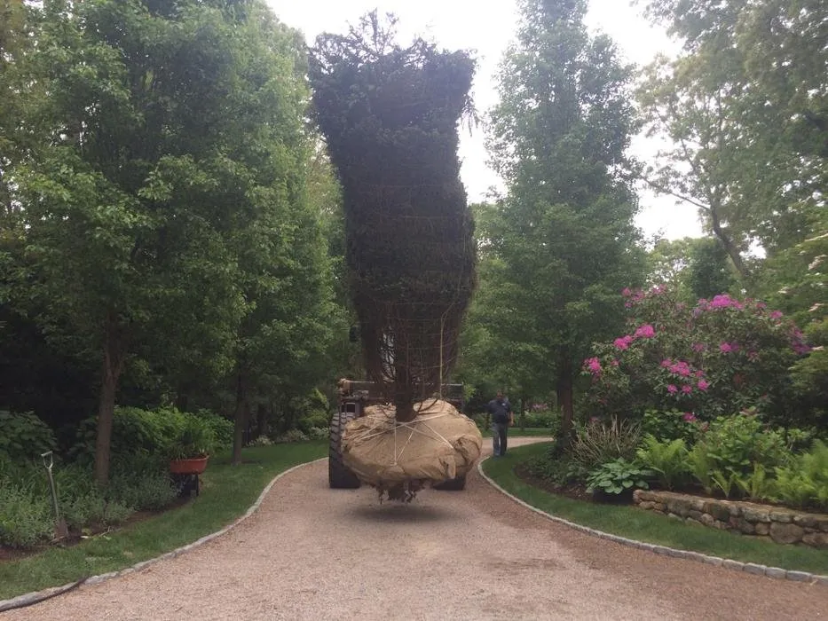 Professional lawn mowing service in Marstons Mills, MA - DeMelo Brothers